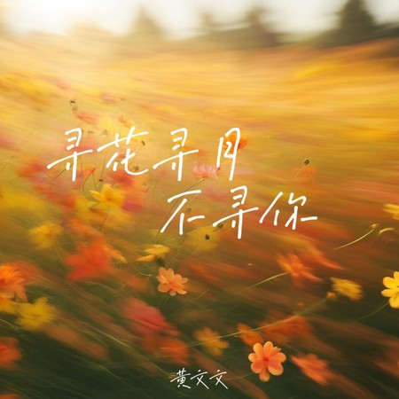 寻花寻月不寻你