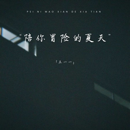 陪你冒险的夏天