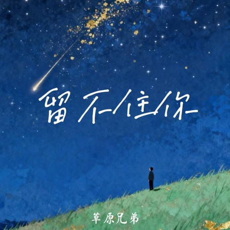 留不住你