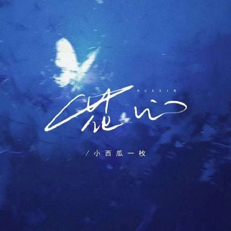 花心 (DJ小酷版)