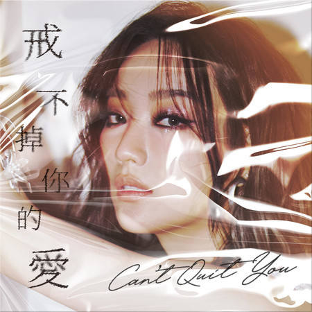 戒不掉你的愛