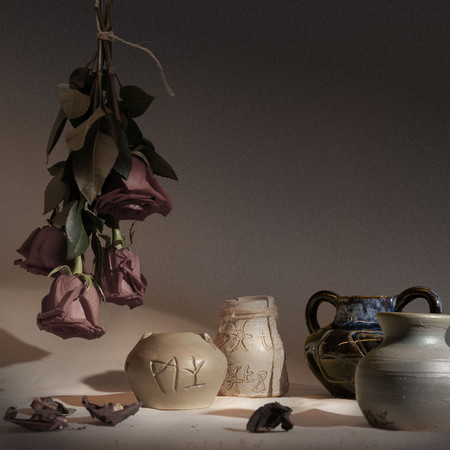 破碎的薔薇 (stripped)