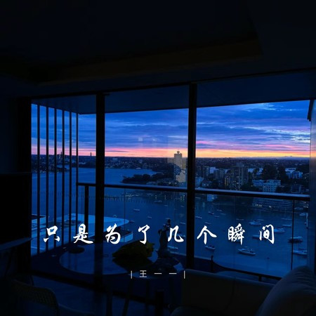 只是为了几个瞬间