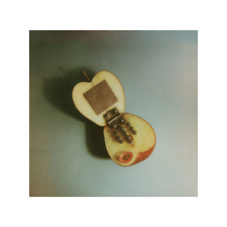 We Talk To iPhone But Not Our Best Friend