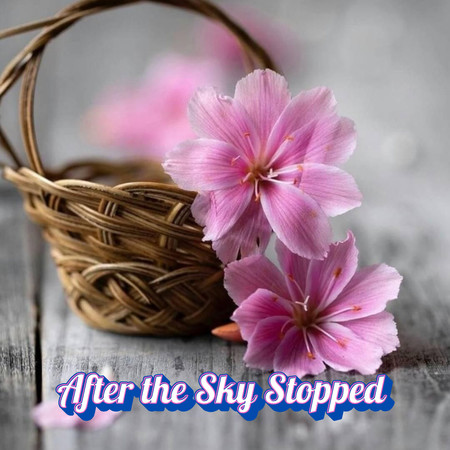 After the Sky Stopped