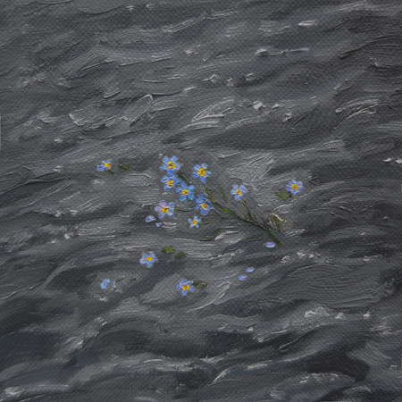 forget-me-not