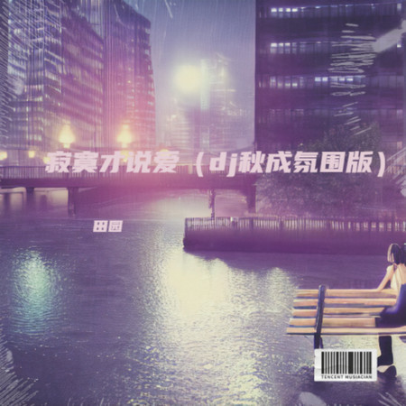寂寞才說愛（dj秋成氛圍版）