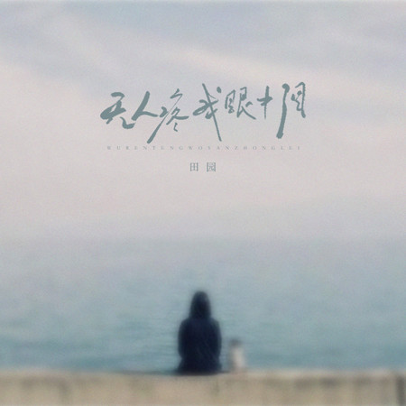 無人疼我眼中淚