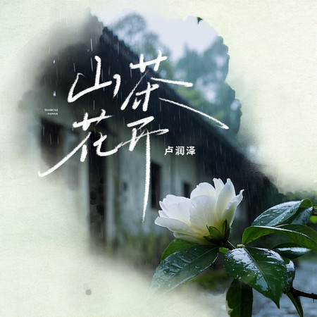 山茶花開（重生版）