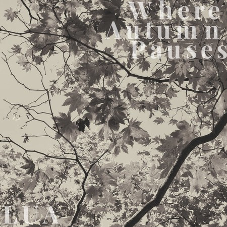 Where Autumn Pauses