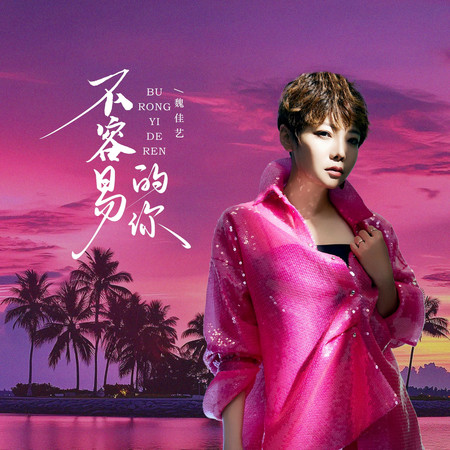 不容易的你(DJ阿尼版伴奏)