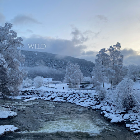 Wild (From the Original Netflix Series ¨Home For Christmas Season 3¨)