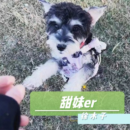 甜妹儿