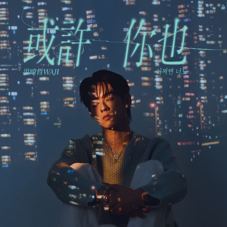 어쩌면 너도 (影集《整形過後》插曲)