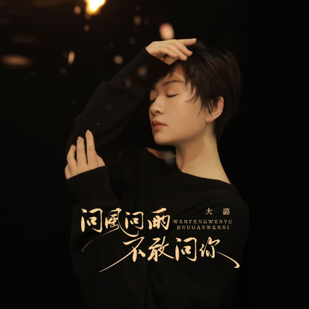 問風問雨不敢問你