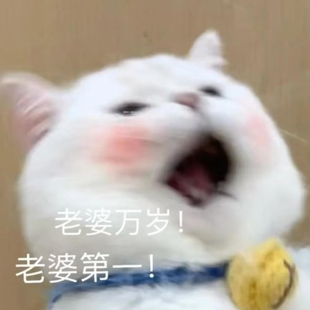 我想和你一起官宣（喜欢听你叫老婆）