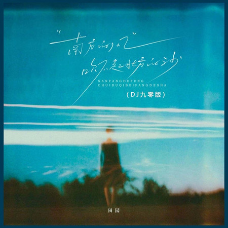 南方的風吹不起北方的沙(DJ九零版)