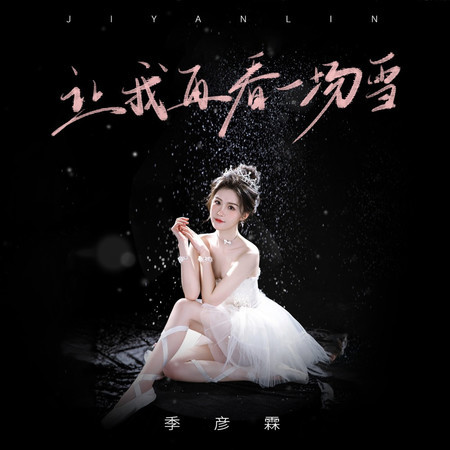 讓我再看一場雪