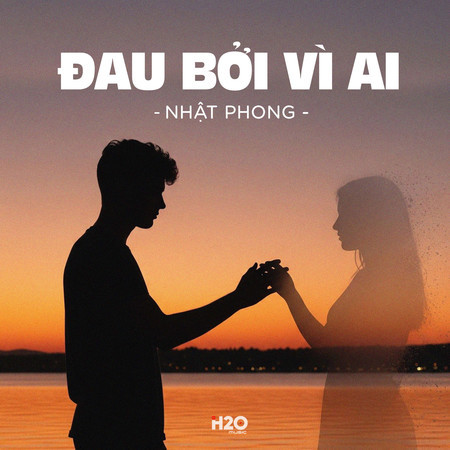 Đau Bởi Vì Ai (Lofi)