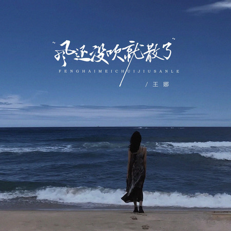 風還沒吹就散了(DJ阿尼版)