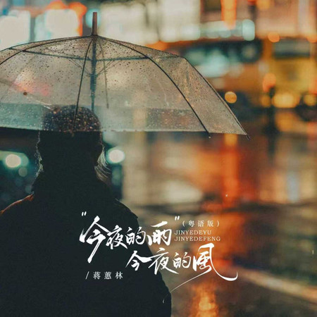 今夜的雨今夜的風(DJ阿尼粵語版)