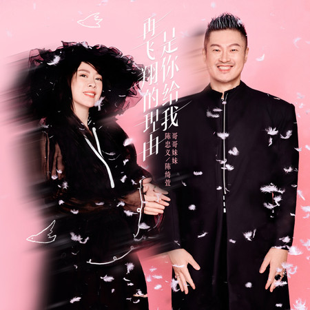 是你給我再飛翔的理由