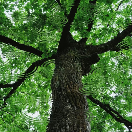 三國戀 (高音釋放版)