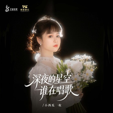 深夜的星空谁在唱歌