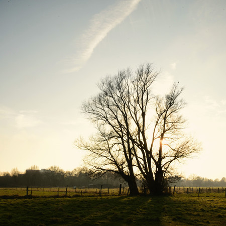 Letters to the Ending Year