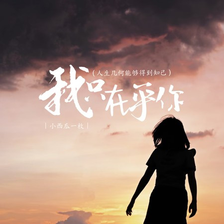 我只在乎你 (人生几何能够得到知己)