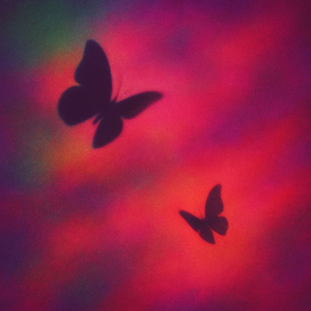 could we be for real