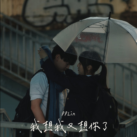 我想我又想你了