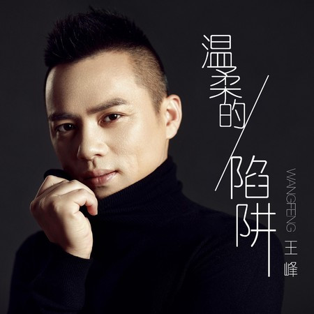 溫柔的陷阱 (DJ阿卓版)