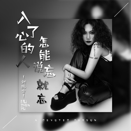 入了心的人怎能說忘就忘