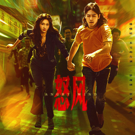 未完的告別（影視劇《怒風》插曲）