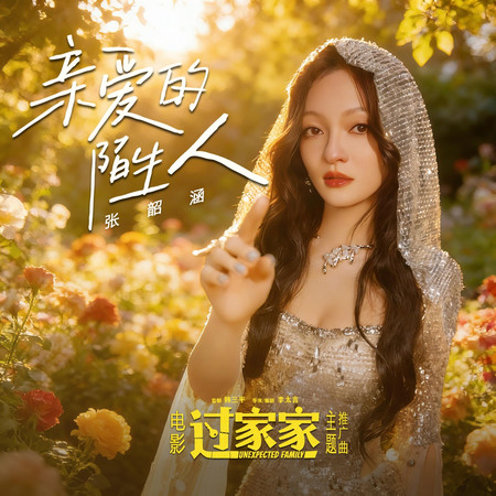 親愛的陌生人(電影《過家家》主題推廣曲)