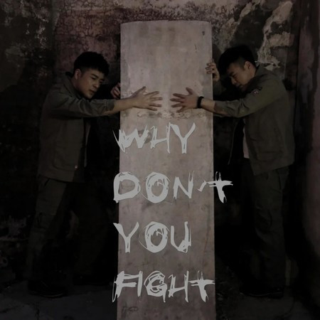 Why Don't You Fight