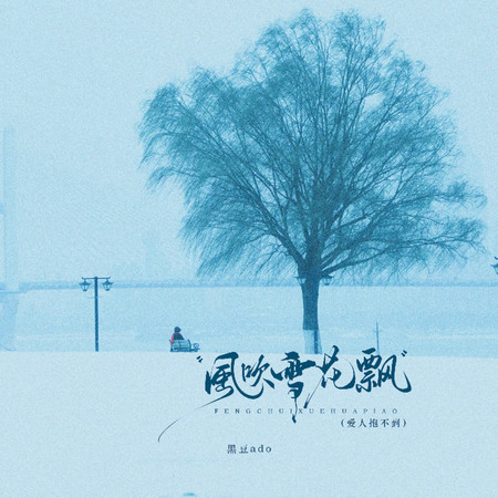 風吹雪花飄 (DJ阿諾版)