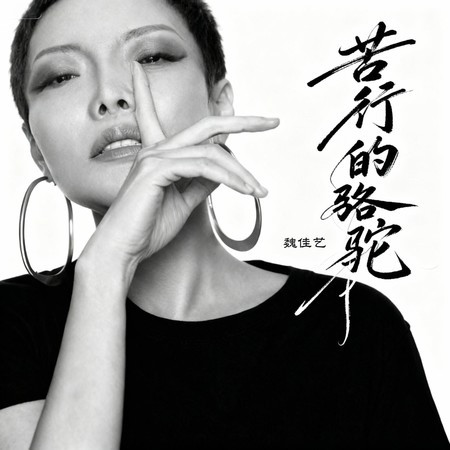 苦行的骆驼 (烟嗓女版)