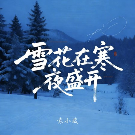 雪花在寒夜盛開