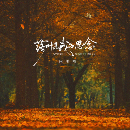 落葉是我的思念