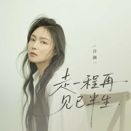 走散一程再见已半生