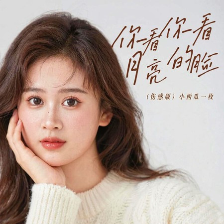 你看你看月亮的脸 (伤感版)