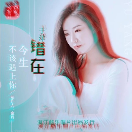 错在今生不该遇上你 (DJ版)