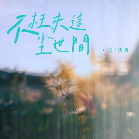 不枉来这尘世间