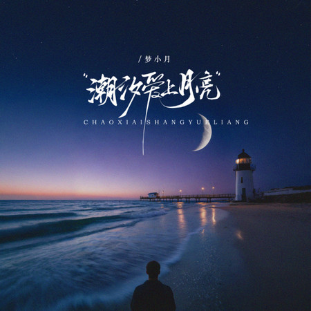 我沒法挽留(女生版)