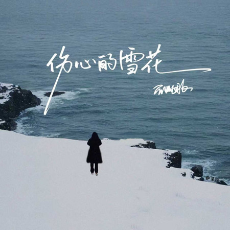 傷心的雪花(DJ版)