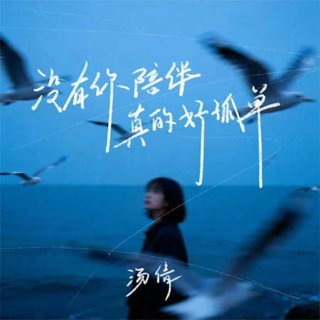 沒有你陪伴真的好孤單