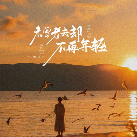 未曾老去卻不再年輕(回首節奏版)