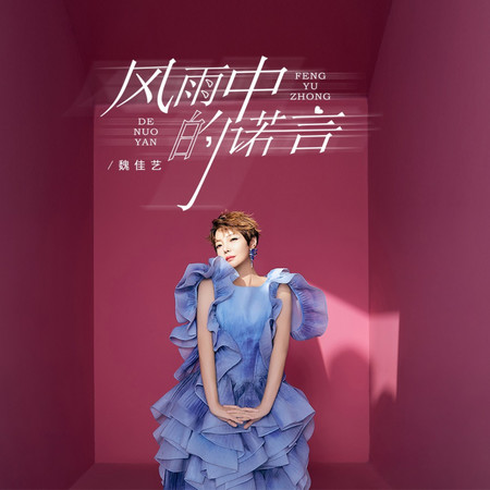 風雨中的諾言(風雨金曲舞動版)